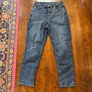 American Eagle Outfitters High Rise Blue Jeans